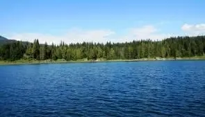 Land for Sale Near Bull River