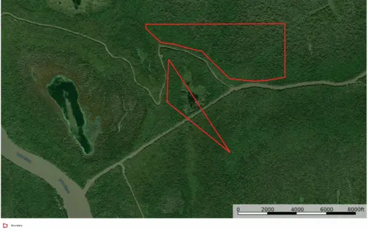 Hunting / Fishing / Recreational / Louisiana  Land for Sale