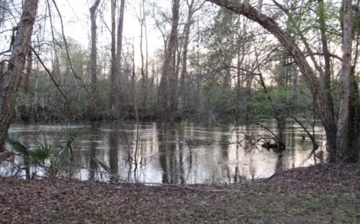 Ogeechee River Lot, Midville, Ga