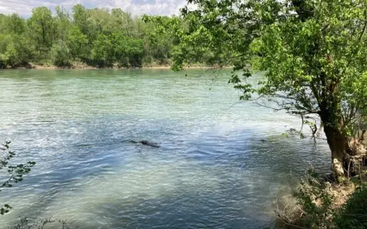 Riverfront Land for Sale in Melbourne, Arkansas