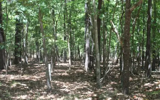 4 Adjoining Lots on Bull Shoals Lake in Gated Community