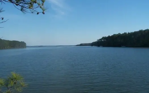 Lake Monticello Building Lot 3.05 Acres Blair, Sc