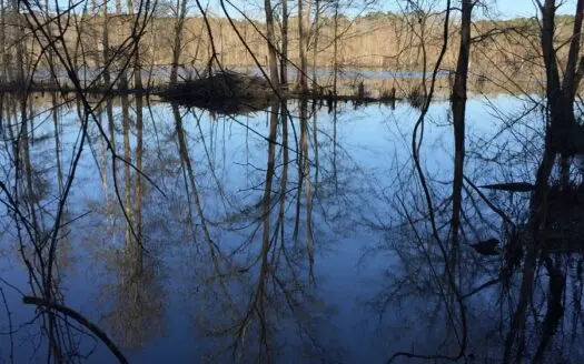 This 34 Acre Tract Is Privately Located