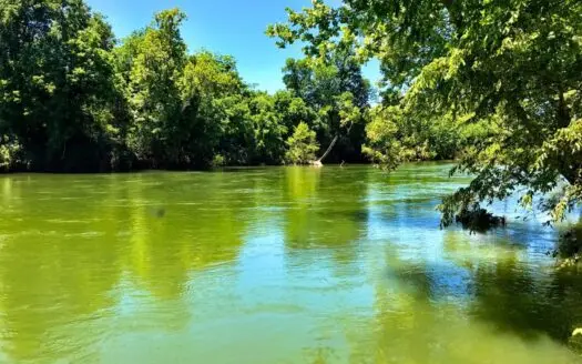 Spring River Lots for Sale in Arkansas