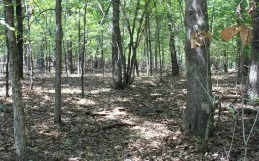 Lots 13, 14, 15 Bull Shoals Acres