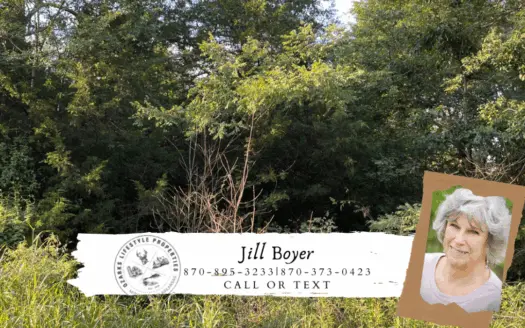 Ozarks Lakefront Property with a Beautiful View