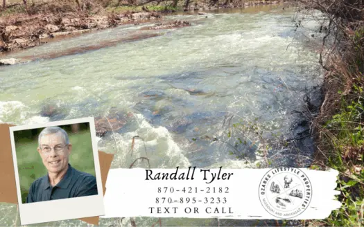 Ozarks Riverfront Property for Sale Horseshoe Bend Ar