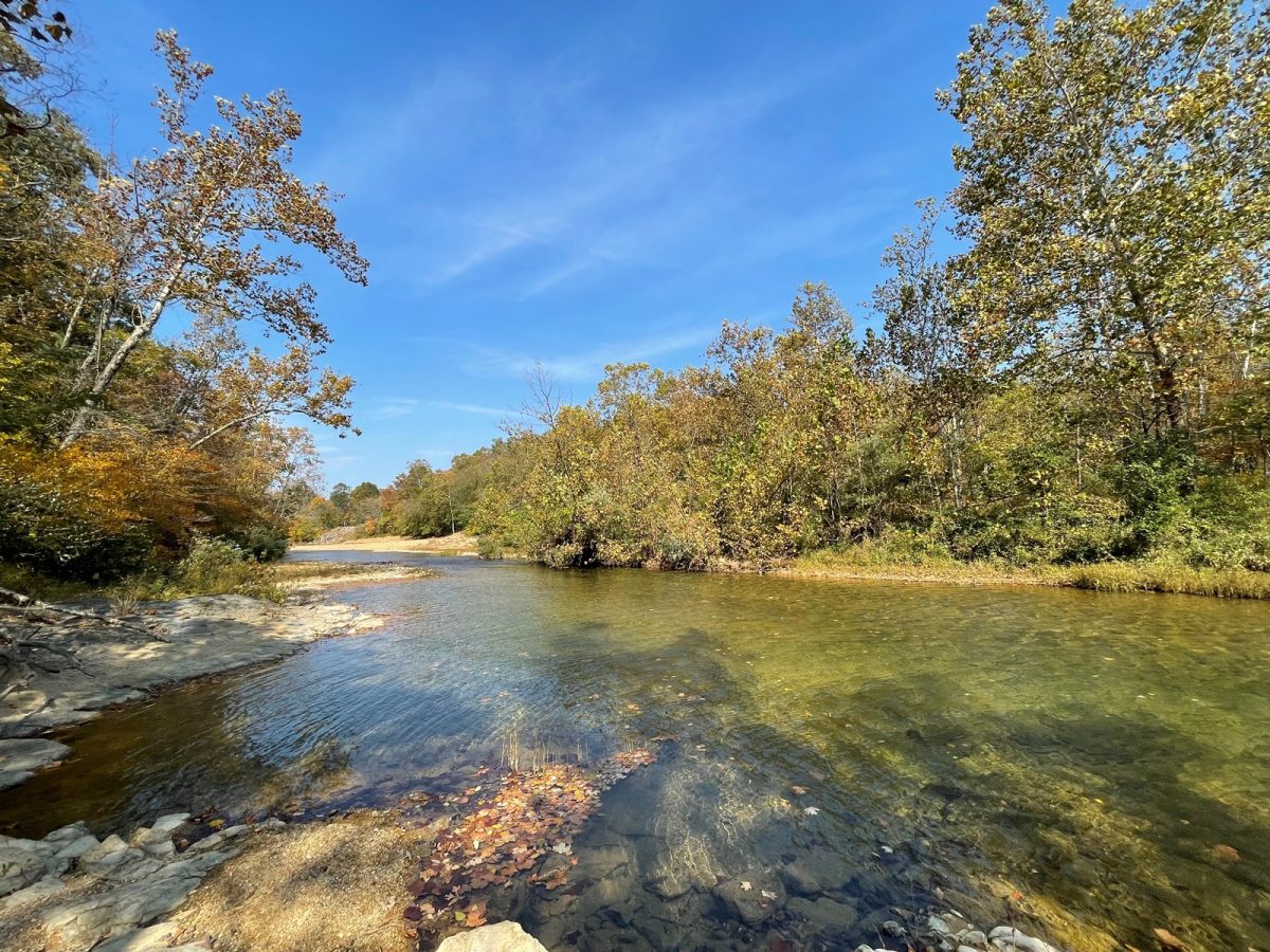 CASTOR RIVER PROPERTY WITH WELL & SEPTIC & ELECTRIC