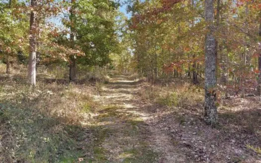 Vacant Lot with North Fork River Access for Sale, Ozark Co