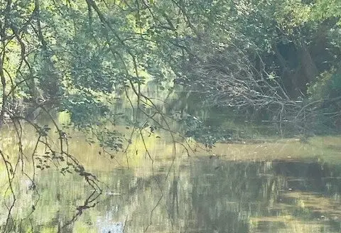 Land for Sale in Izard County Arkansas