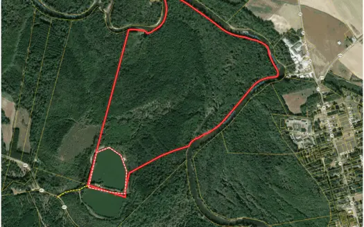 Auction Barham’s Woods, Nottoway  River, Southampton Co Va