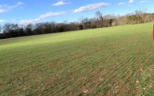 Riverfront Farm for Sale Nolichucky River Washington County