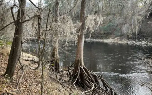 Suwannee River Front Property for Sale in Jasper, Florida