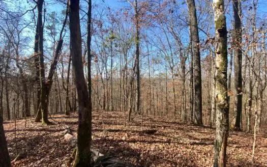 Private 9.81+- Acres in Polk County
