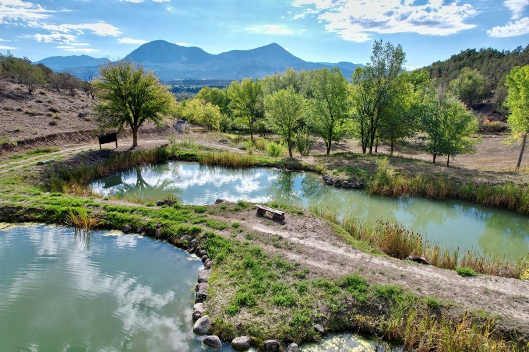 Colorado Water Rights For Sale On Mountain 10 Acres