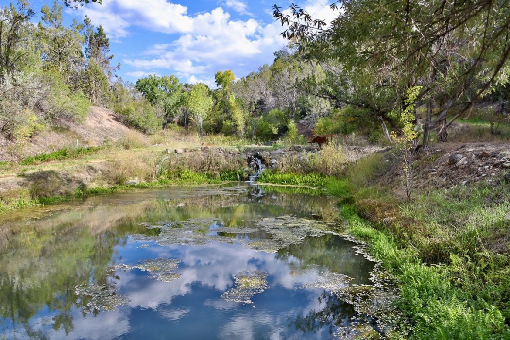 Colorado Water Rights For Sale On Mountain 10 Acres