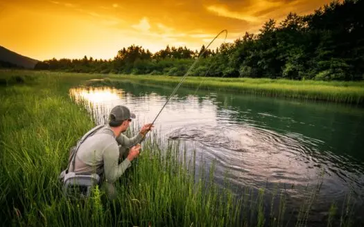 Understanding Water Rights in Real Estate