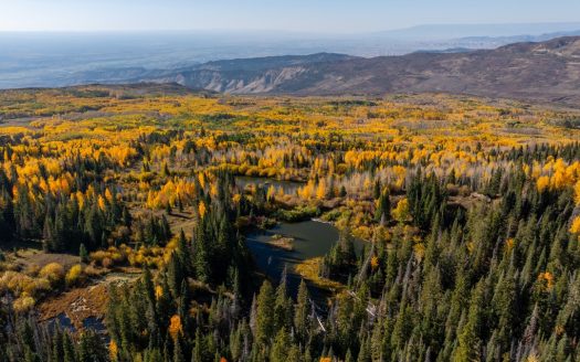 Montrose Colorado waterfront real estate listing photo 1