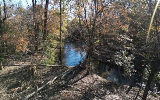 Bogalusa Louisiana riverfront real estate listing photo 4