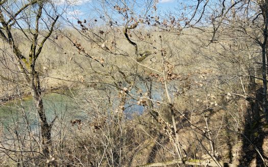 Calico Rock Arkansas riverfront real estate listing photo 8