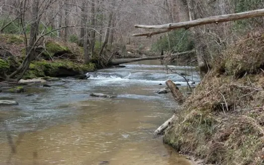 131 Acres of Prime Land in Loganville, GA