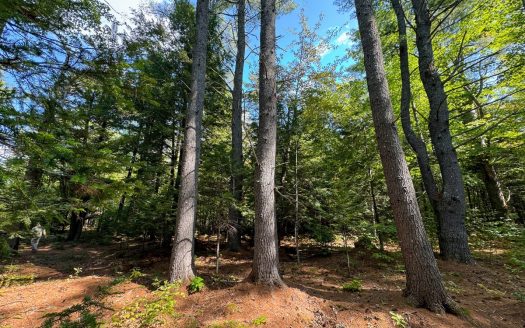 Medford Maine riverfront real estate listing photo 11