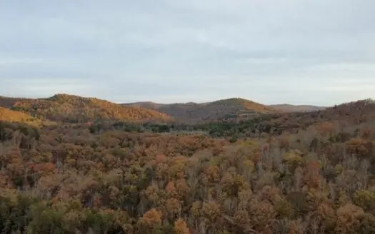 Secluded Hunting Tract on Little South Fork River – Kentucky