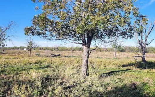 Land for Sale in Mertzon Tx
