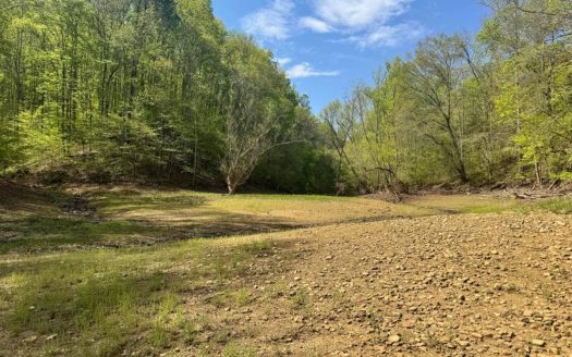 Newport Tennessee waterfront real estate listing photo 1
