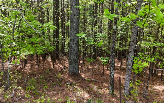 Valdese North Carolina waterfront real estate listing photo 12