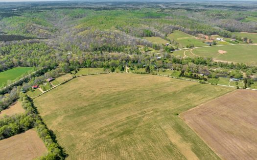Hohenwald Tennessee riverfront real estate listing photo 15
