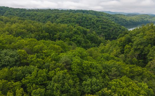 Radford Virginia waterfront real estate listing photo 1