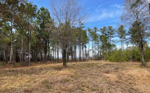 Beaufort North Carolina riverfront real estate listing photo 1