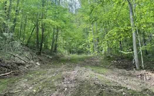 33.5 Acres for sale in Unicoi County, Tennessee