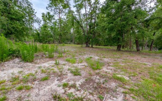 Hunting Land for Sale in Suwannee County, Florida