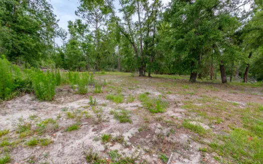 Hunting Land for Sale in Suwannee County, Florida