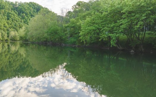 Eidson Tennessee riverfront real estate listing photo 1