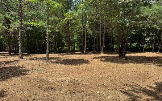 Clarksville Virginia waterfront real estate listing photo 1