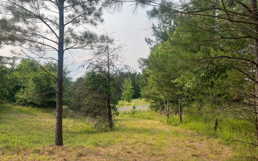 Mooresboro North Carolina riverfront real estate listing photo 18