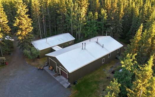 Copper Center Alaska riverfront real estate listing photo 1