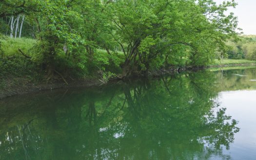 Eidson Tennessee riverfront real estate listing photo 1