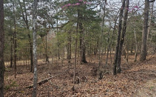 Isabella Missouri waterfront real estate listing photo 1