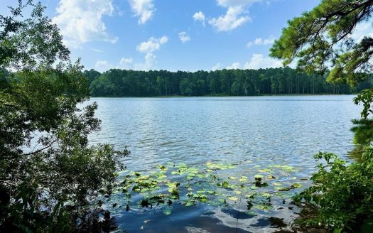 Summit Mississippi waterfront real estate listing photo 1
