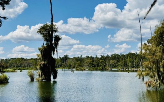 Jennings Florida waterfront real estate listing photo 1