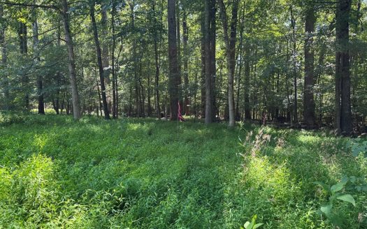 Clarksville Virginia waterfront real estate listing photo 1