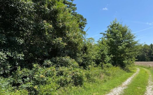 Clarksville Virginia waterfront real estate listing photo 1