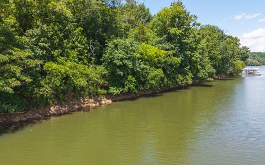Lynch Station Virginia waterfront real estate listing photo 1