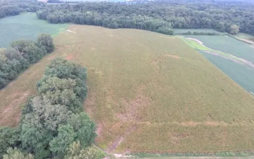 40 Acres in Jasper County, IL – Hunt, Farm, Relax, and Earn!