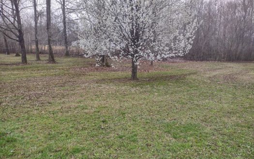 Decaturville Tennessee riverfront real estate listing photo 1