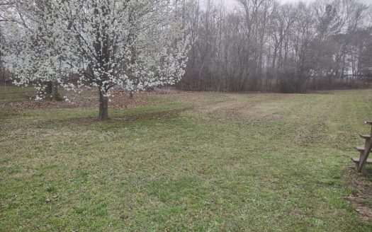 Decaturville Tennessee riverfront real estate listing photo 1